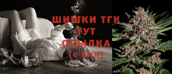 стафф Новодвинск