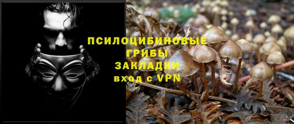 стафф Новодвинск