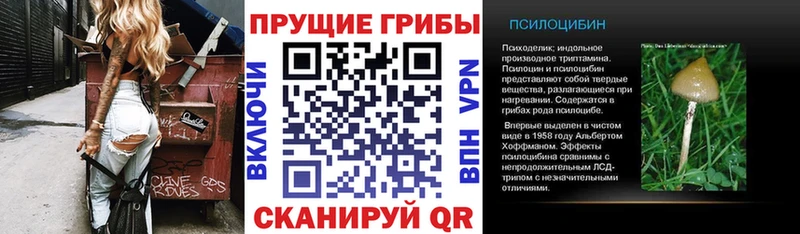 Галлюциногенные грибы ЛСД  Ревда 