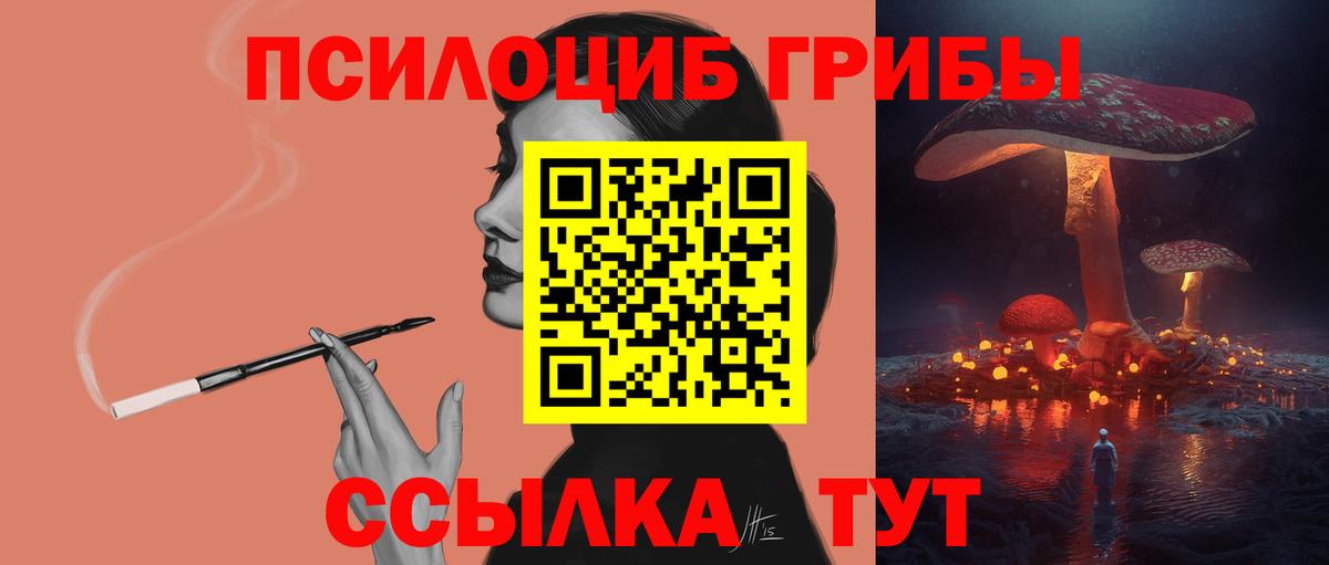 Псилоцибиновые грибы Psilocybe  Вход с VPN  Псилоцибиновые грибы ЛСД  Ревда 