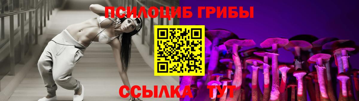 Галлюциногенные грибы мухоморы  Ревда  Псилоцибиновые грибы GOLDEN TEACHER 